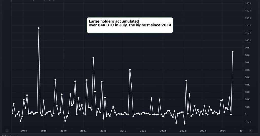 Large Bitcoin Holders Added $5.4B in BTC in July, Data Show