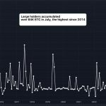 Large Bitcoin Holders Added $5.4B in BTC in July, Data Show