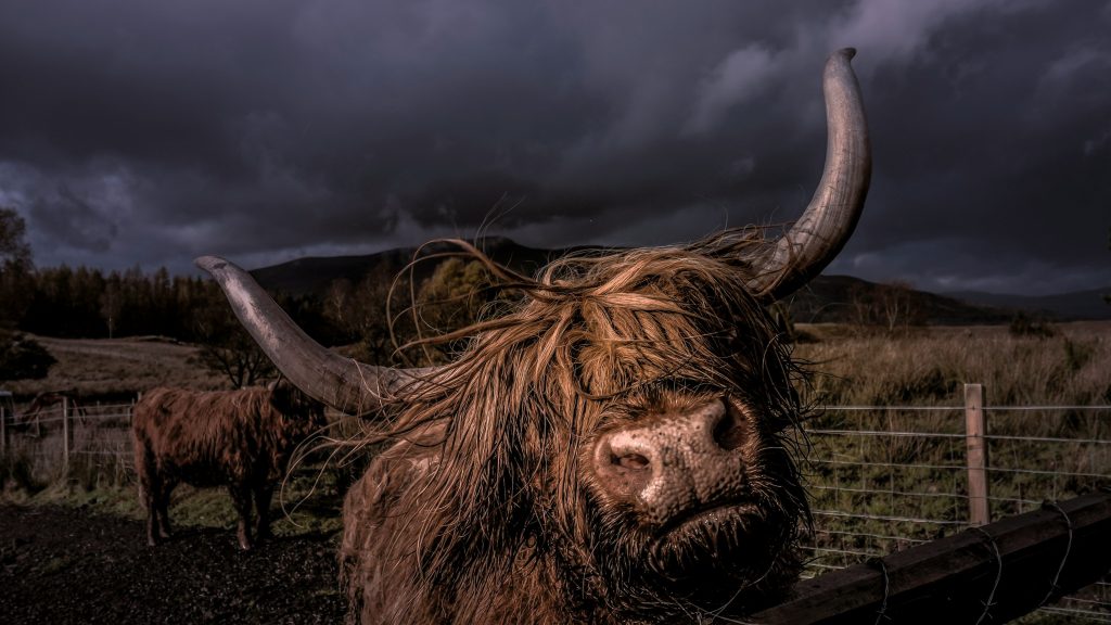 KULR Boosts Bitcoin Treasury to 800 BTC With $9M Purchase