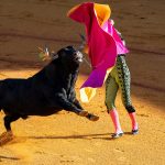Matador Technologies to Acquire Stake in Indian Firm HODL Systems