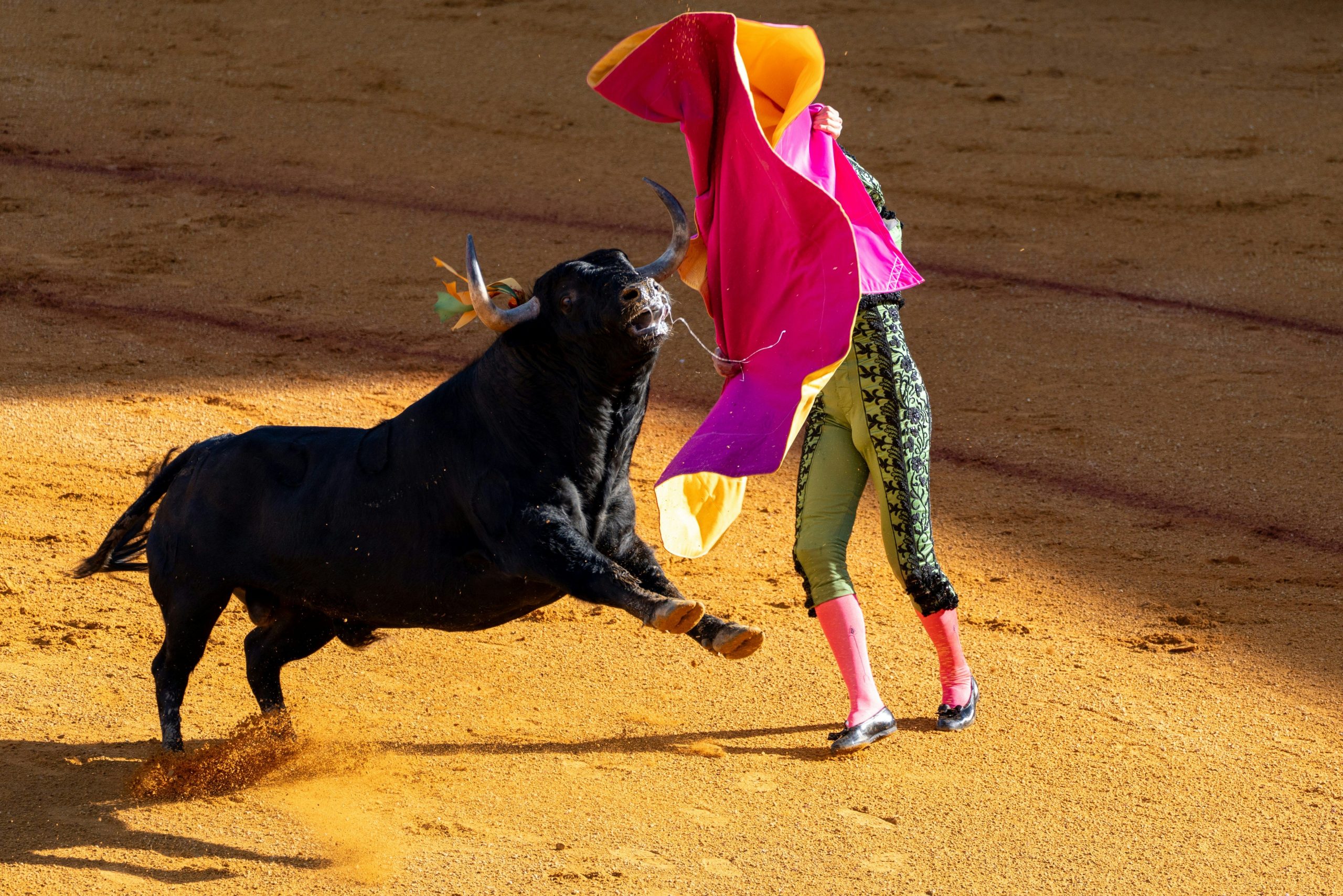 Matador Technologies to Acquire Stake in Indian Firm HODL Systems