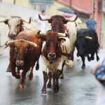 Bitcoin Tops $116K as Bullish Signals Spur Confidence: Crypto Daybook Americas