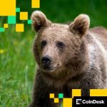 Bitcoin Treasury Firms Now Valued at Less Than Their BTC Holdings Amid Crumbled Sentiment