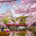 Japanese Investment Giant Climbs to Fourth in Corporate Bitcoin Holdings