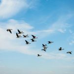 The $700 million migration: Why Solv Protocol is ditching LayerZero for Chainlink